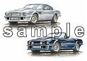 Aston Martin AMV8 Vantage & Volante